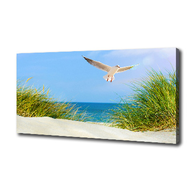 Tableau imprimé sur toile Mouette sur la plage