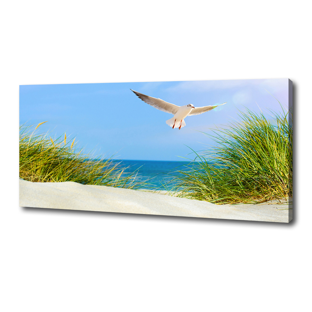 Tableau imprimé sur toile Mouette sur la plage