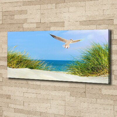 Tableau imprimé sur toile Mouette sur la plage