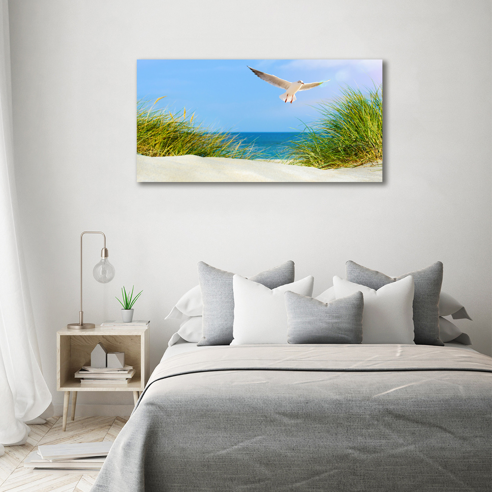 Tableau imprimé sur toile Mouette sur la plage