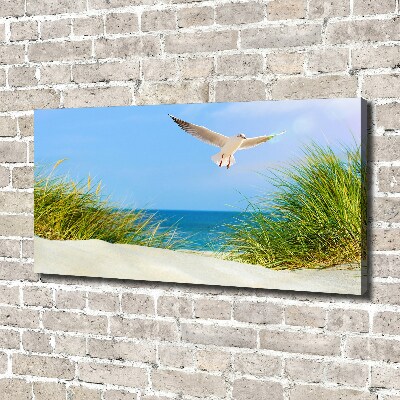 Tableau imprimé sur toile Mouette sur la plage