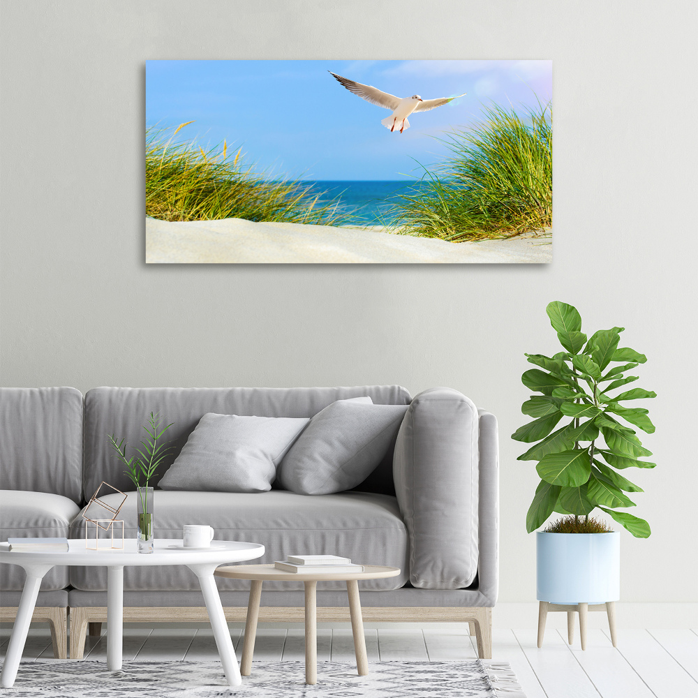 Tableau imprimé sur toile Mouette sur la plage