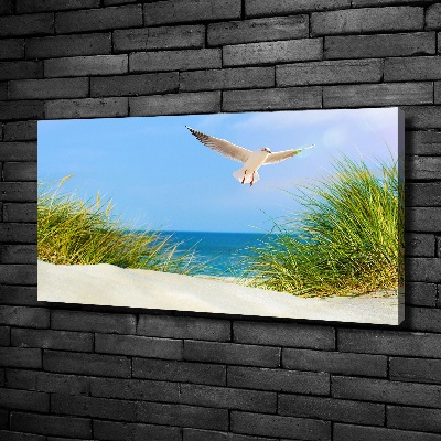 Tableau imprimé sur toile Mouette sur la plage