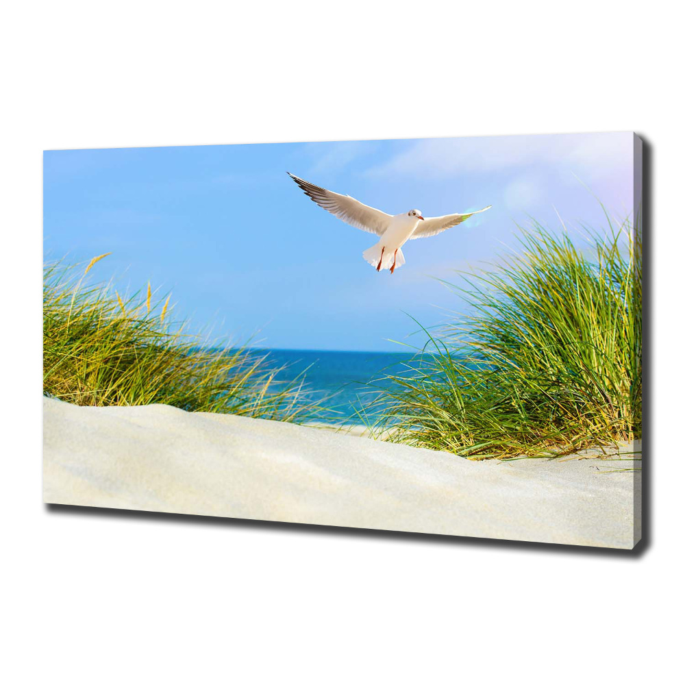 Tableau imprimé sur toile Mouette sur la plage