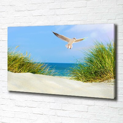 Tableau imprimé sur toile Mouette sur la plage