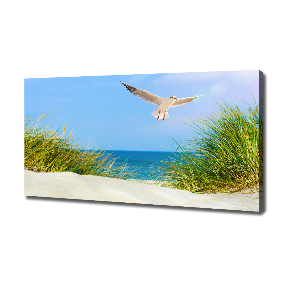 Tableau imprimé sur toile Mouette sur la plage