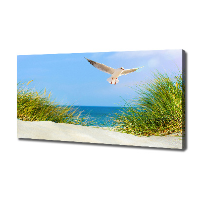 Tableau imprimé sur toile Mouette sur la plage