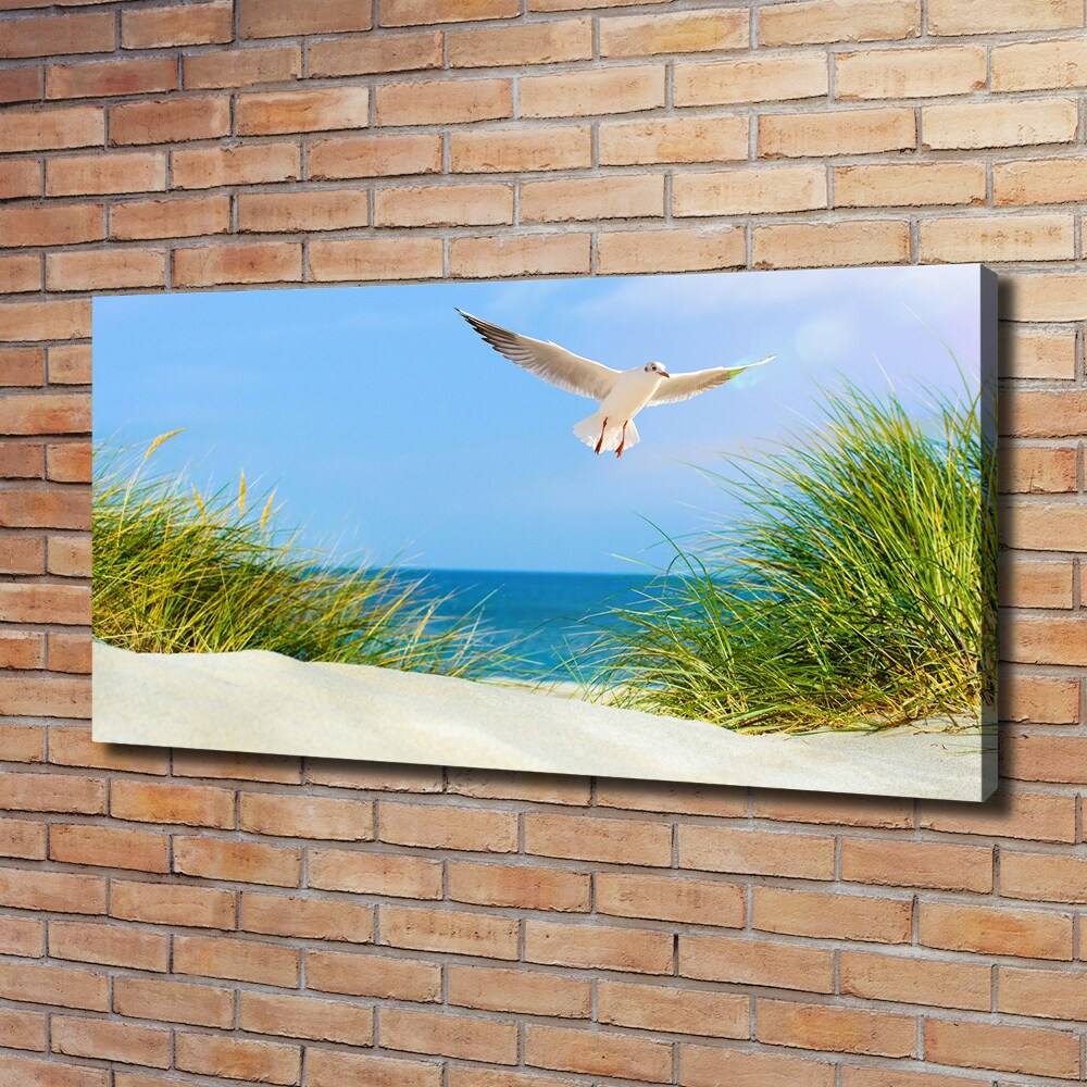 Tableau imprimé sur toile Mouette sur la plage