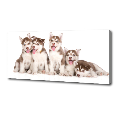 Tableau imprimé sur toile Chiots Husky