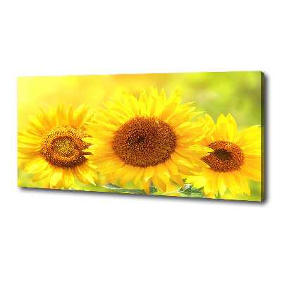 Tableau sur toile Plante de tournesol