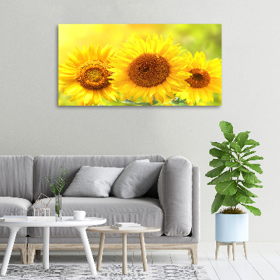 Tableau sur toile Plante de tournesol