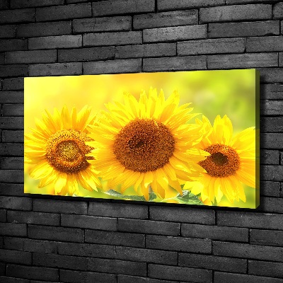 Tableau sur toile Plante de tournesol