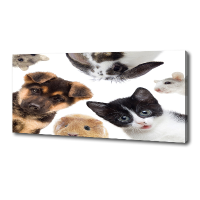 Tableau sur toile Animaux de compagnie