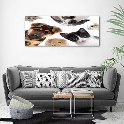 Tableau sur toile Animaux de compagnie