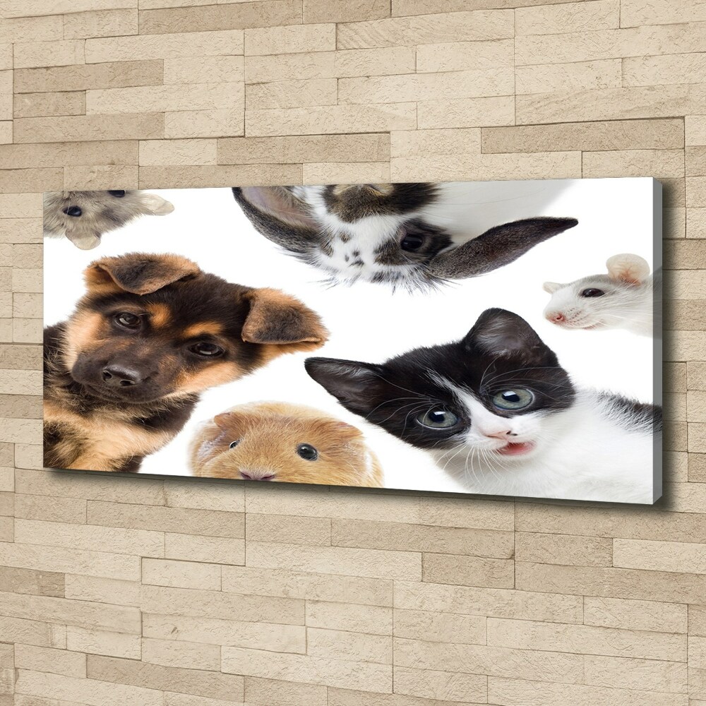 Tableau sur toile Animaux de compagnie