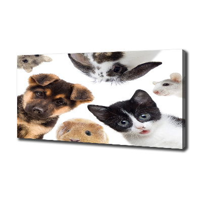 Tableau sur toile Animaux de compagnie