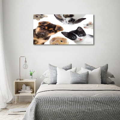 Tableau sur toile Animaux de compagnie