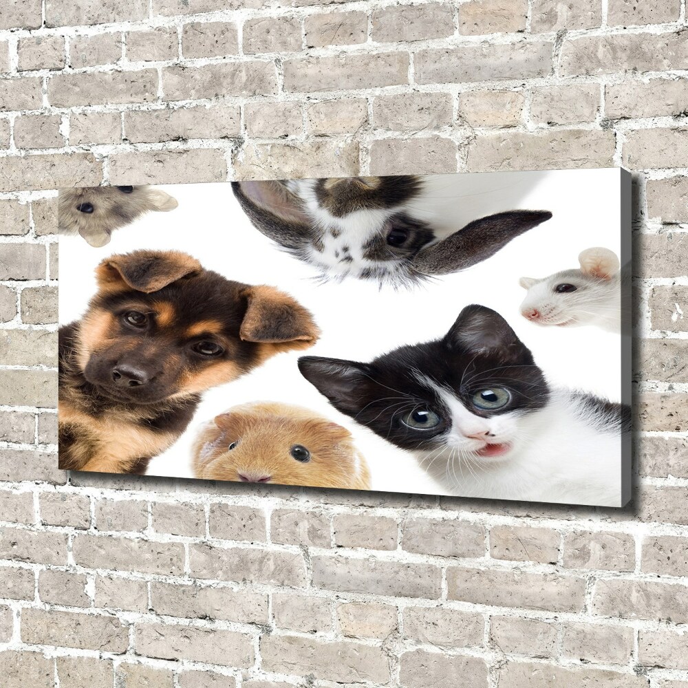 Tableau sur toile Animaux de compagnie