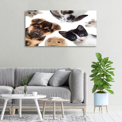 Tableau sur toile Animaux de compagnie