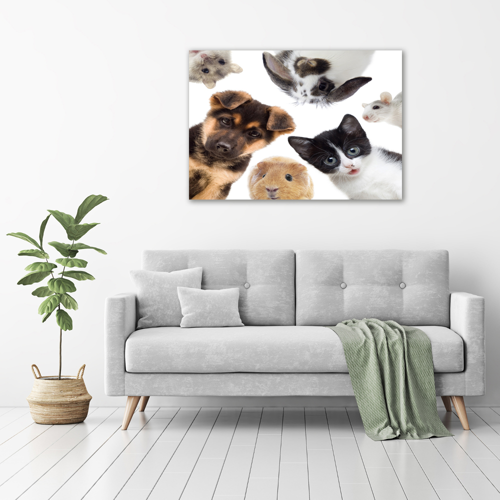 Tableau sur toile Animaux de compagnie