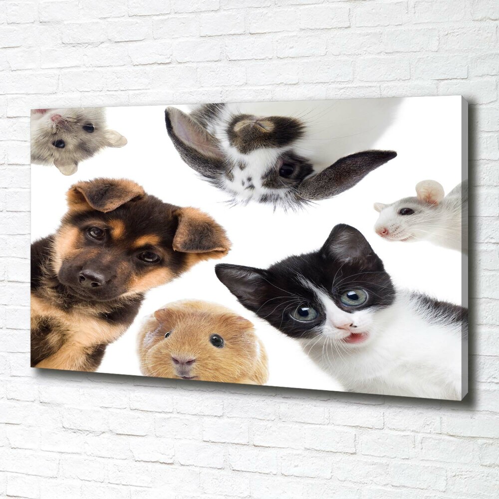 Tableau sur toile Animaux de compagnie