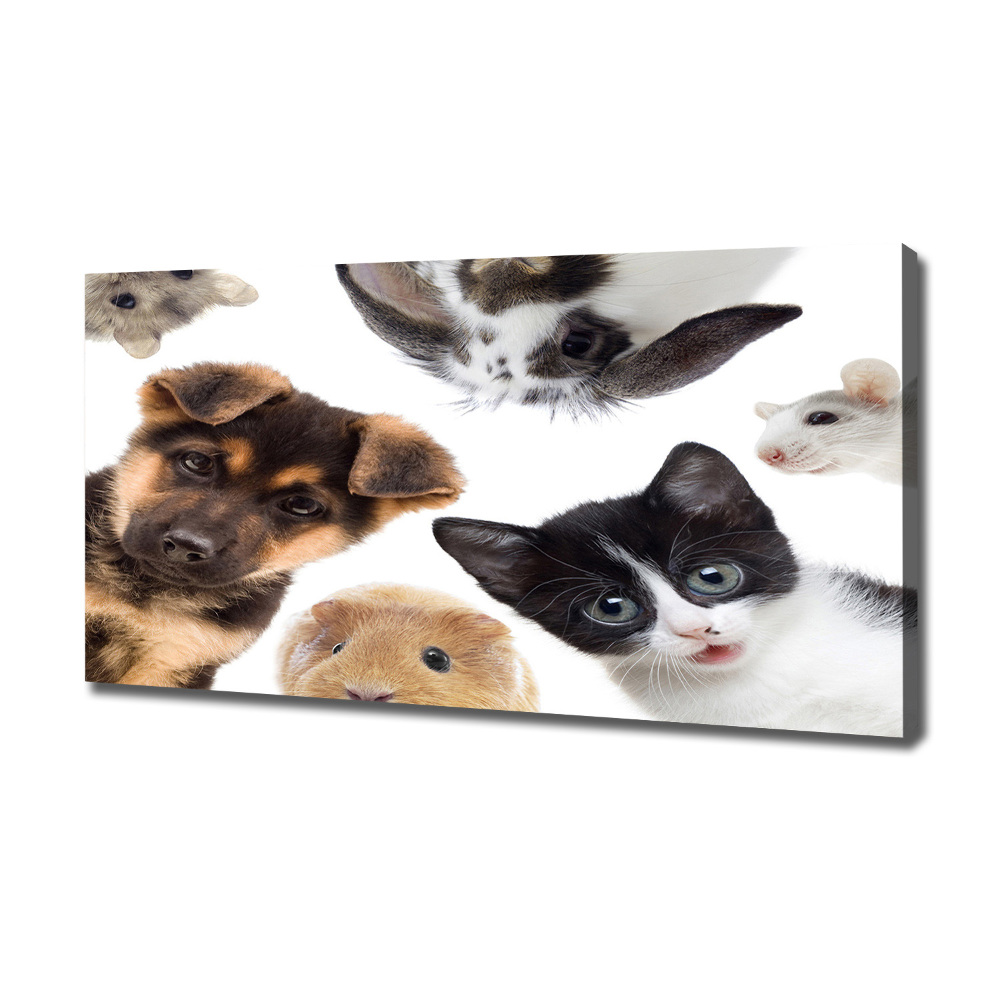 Tableau sur toile Animaux de compagnie