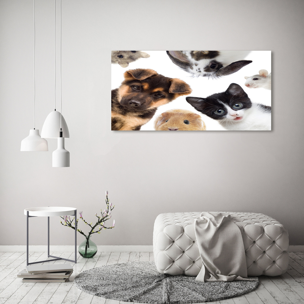 Tableau sur toile Animaux de compagnie