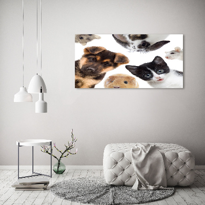 Tableau sur toile Animaux de compagnie