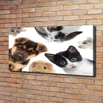 Tableau sur toile Animaux de compagnie