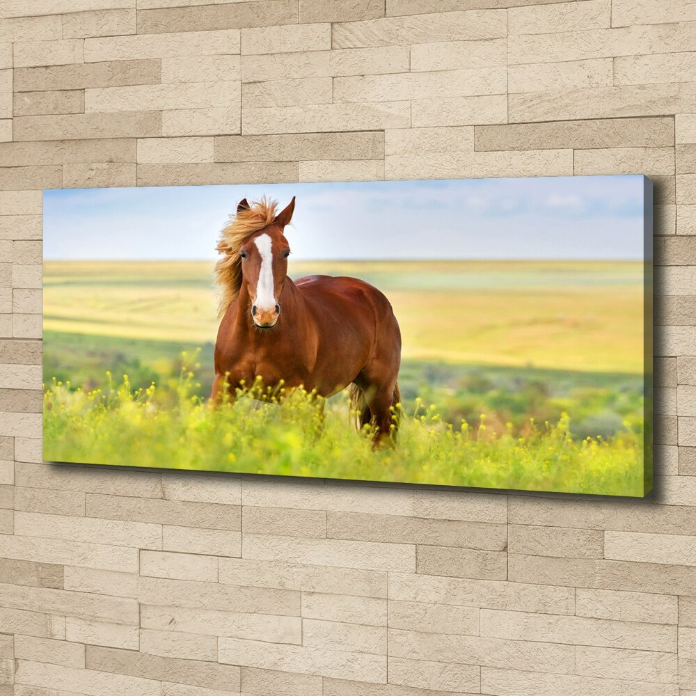 Tableau sur toile Cheval brun