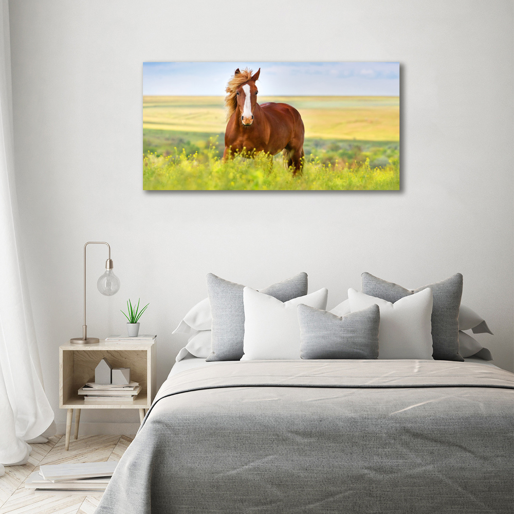 Tableau sur toile Cheval brun