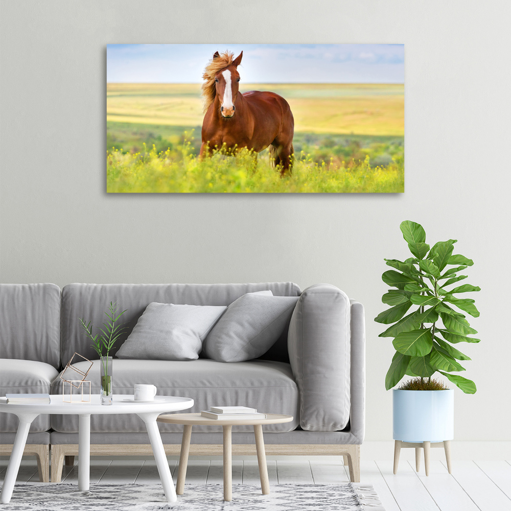 Tableau sur toile Cheval brun