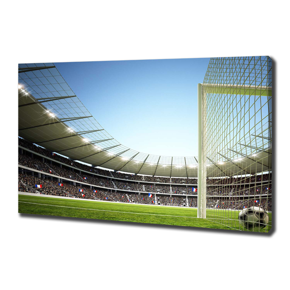 Tableau toile imprimée Stade France