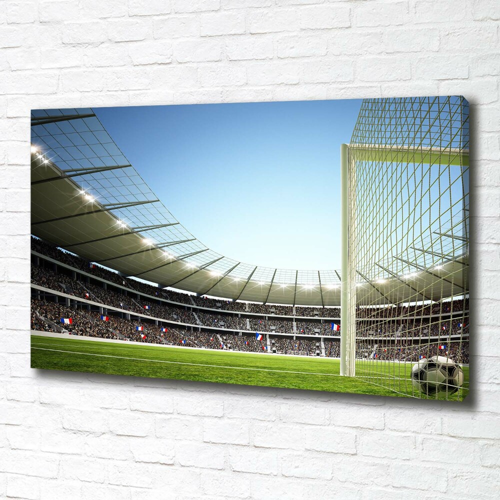 Tableau toile imprimée Stade France