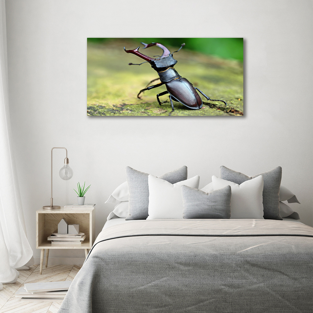 Tableau photo sur toile Coccinelle