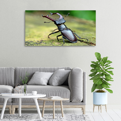 Tableau photo sur toile Coccinelle