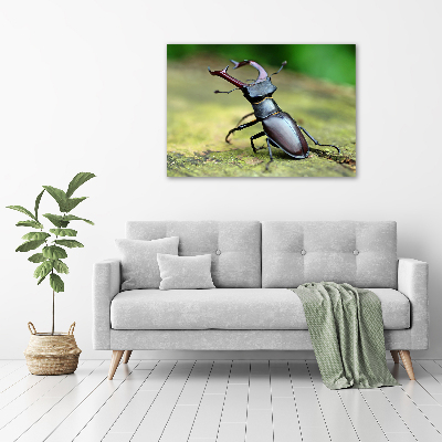 Tableau photo sur toile Coccinelle