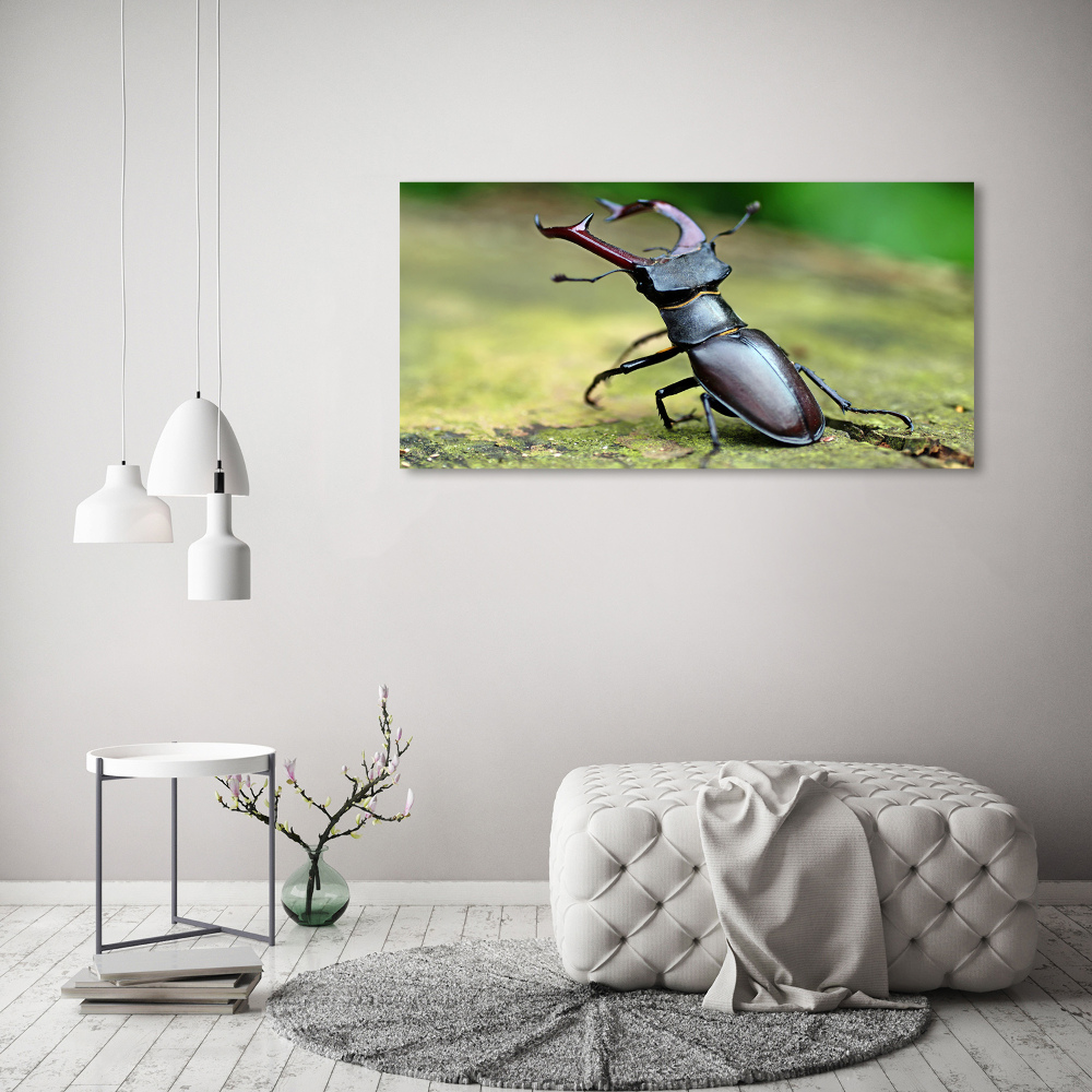 Tableau photo sur toile Coccinelle