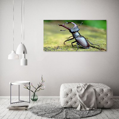 Tableau photo sur toile Coccinelle