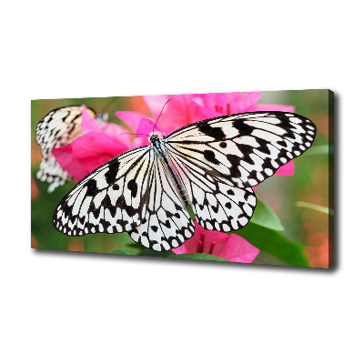 Tableau imprimé sur toile Papillon sur une fleur