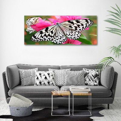 Tableau imprimé sur toile Papillon sur une fleur