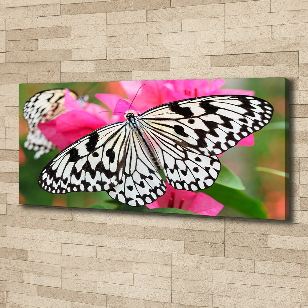 Tableau imprimé sur toile Papillon sur une fleur