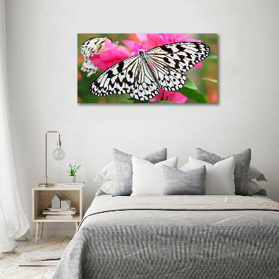 Tableau imprimé sur toile Papillon sur une fleur