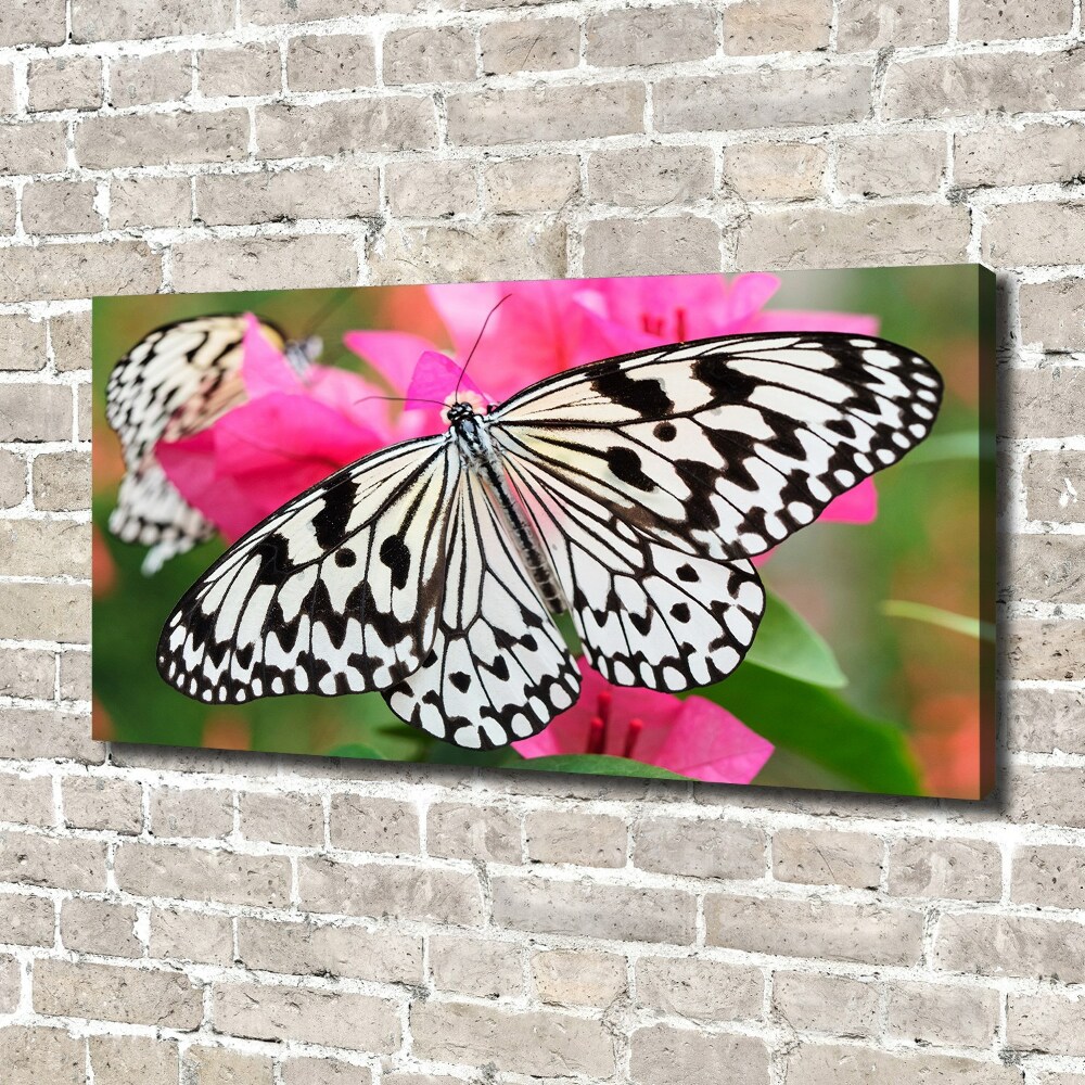 Tableau imprimé sur toile Papillon sur une fleur