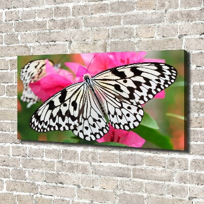 Tableau imprimé sur toile Papillon sur une fleur