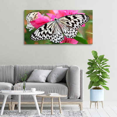 Tableau imprimé sur toile Papillon sur une fleur