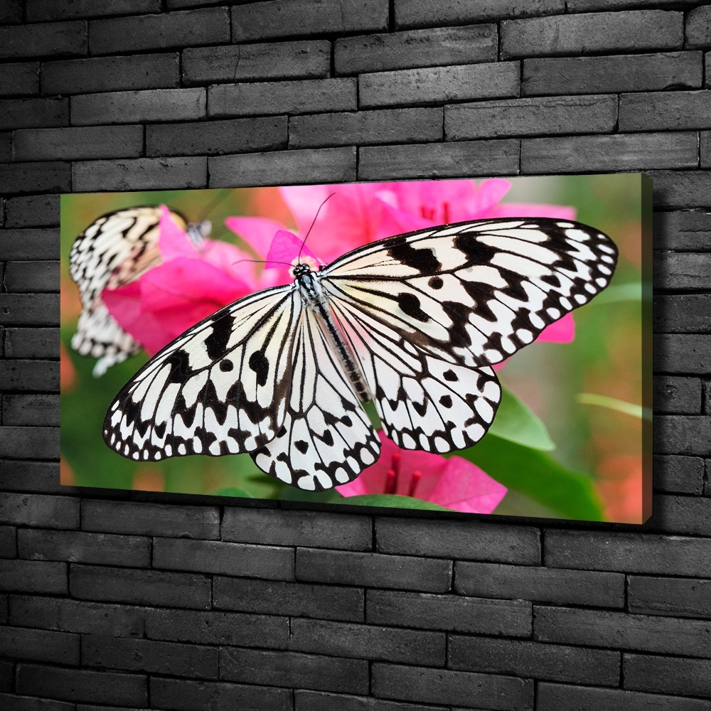 Tableau imprimé sur toile Papillon sur une fleur