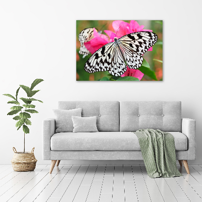 Tableau imprimé sur toile Papillon sur une fleur