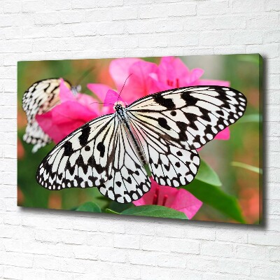 Tableau imprimé sur toile Papillon sur une fleur