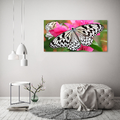 Tableau imprimé sur toile Papillon sur une fleur